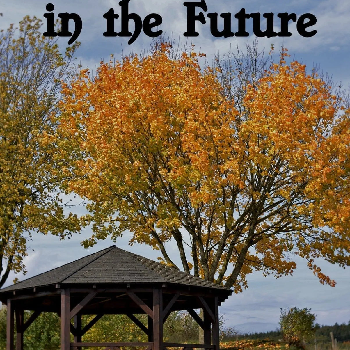 A Bend in the Future by Abby Brown (paperback)