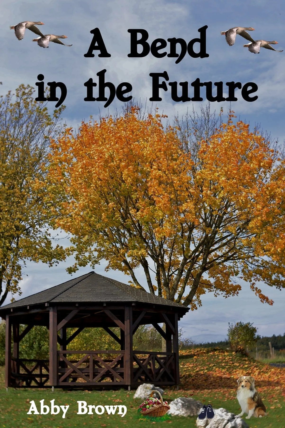 A Bend in the Future by Abby Brown (paperback)