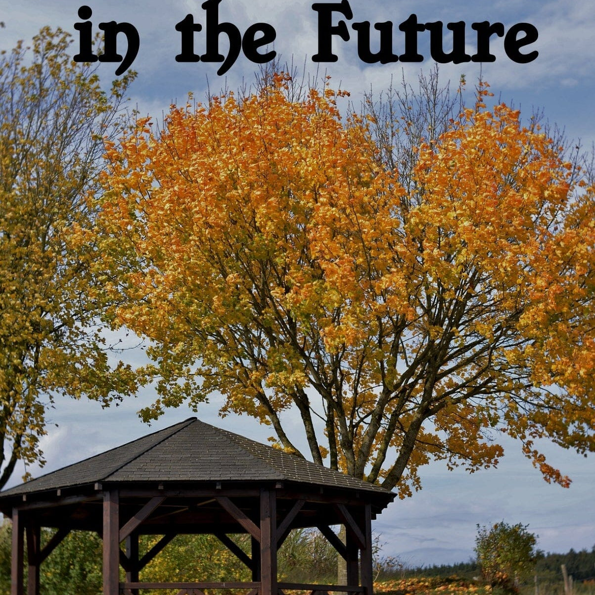 A Bend in the Future (paperback) by Abby Brown Abby Brown 
