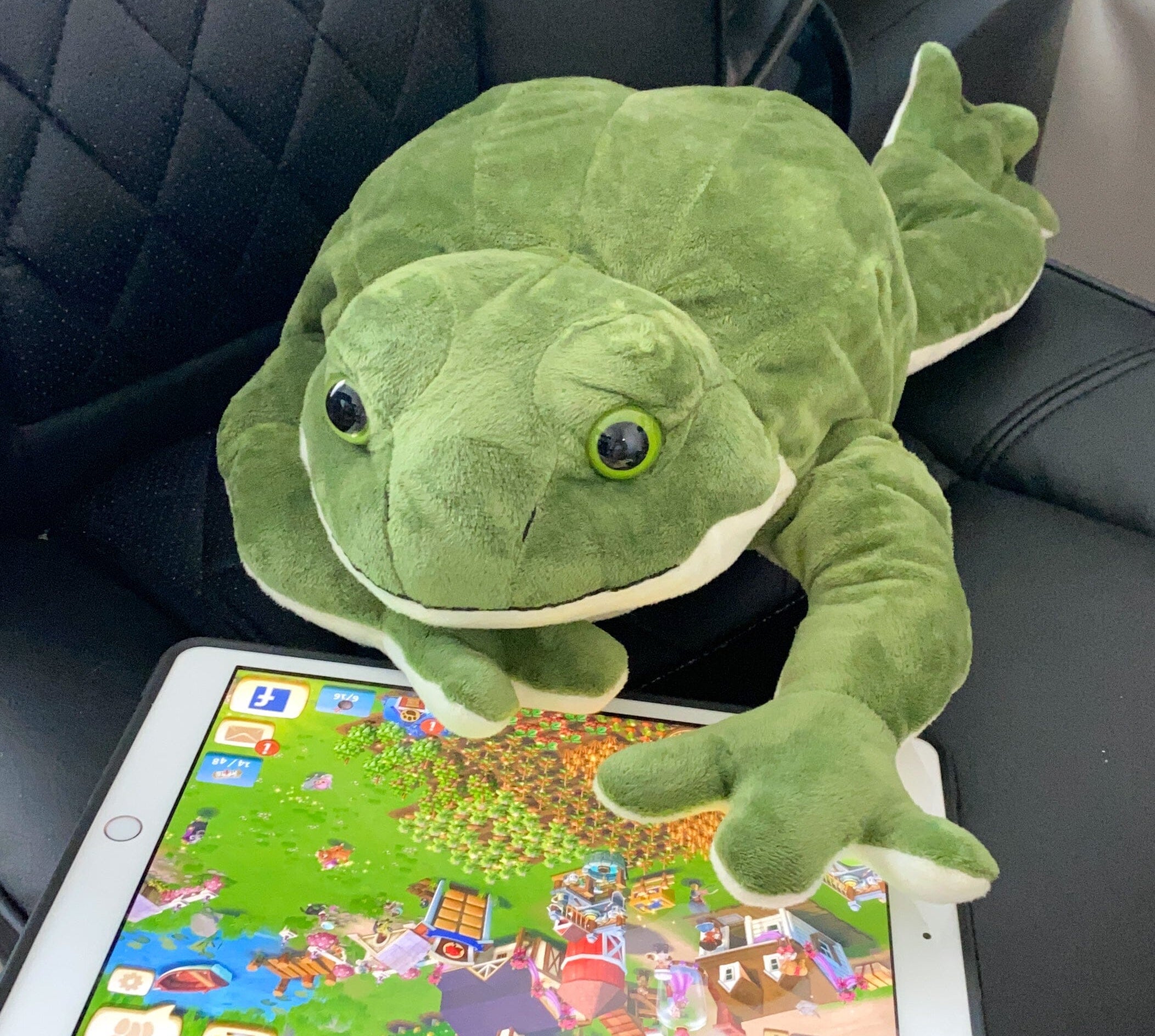 Frog Plush The Autistic Innovator 
