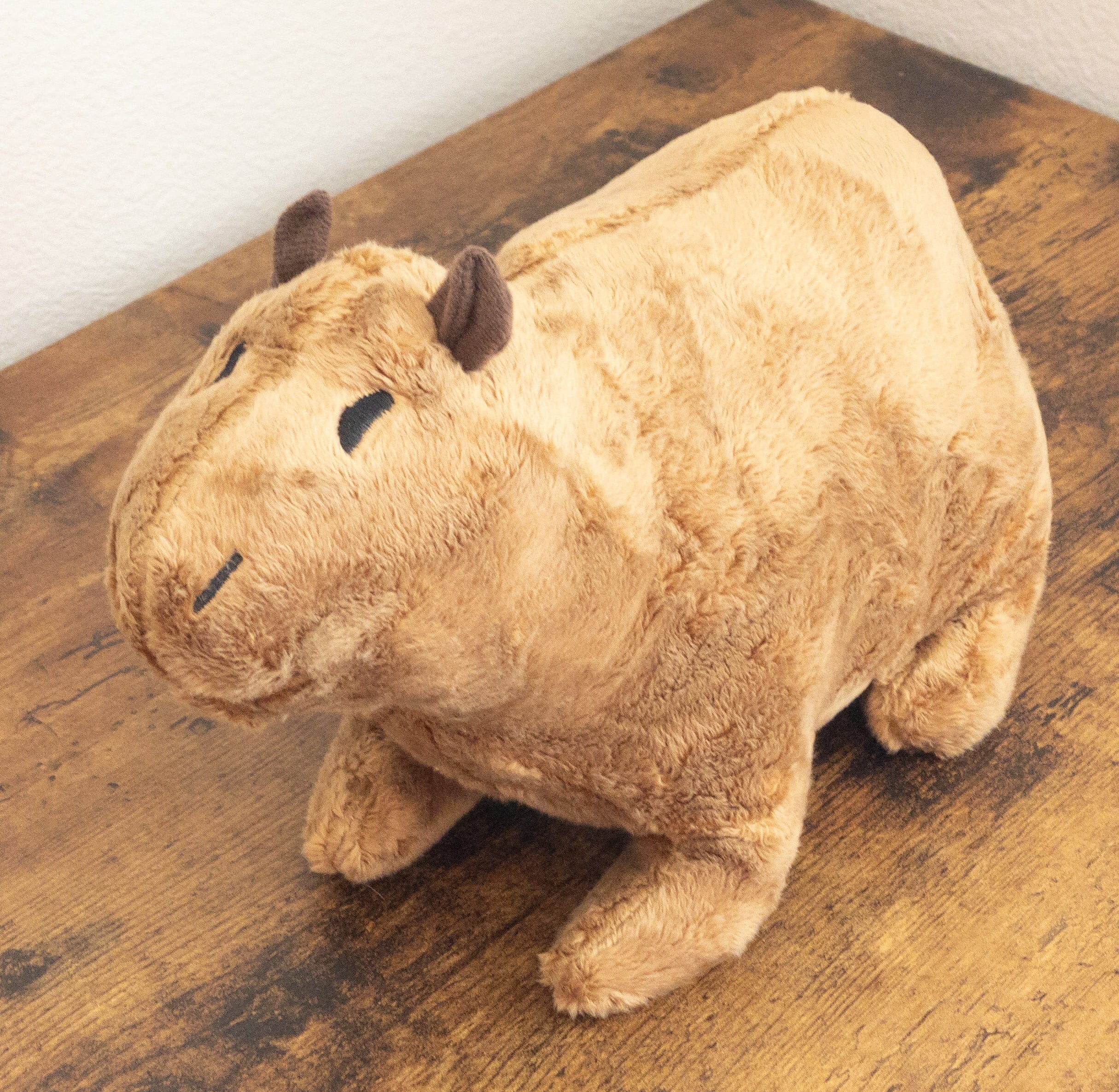 Capybara Plush The Autistic Innovator 