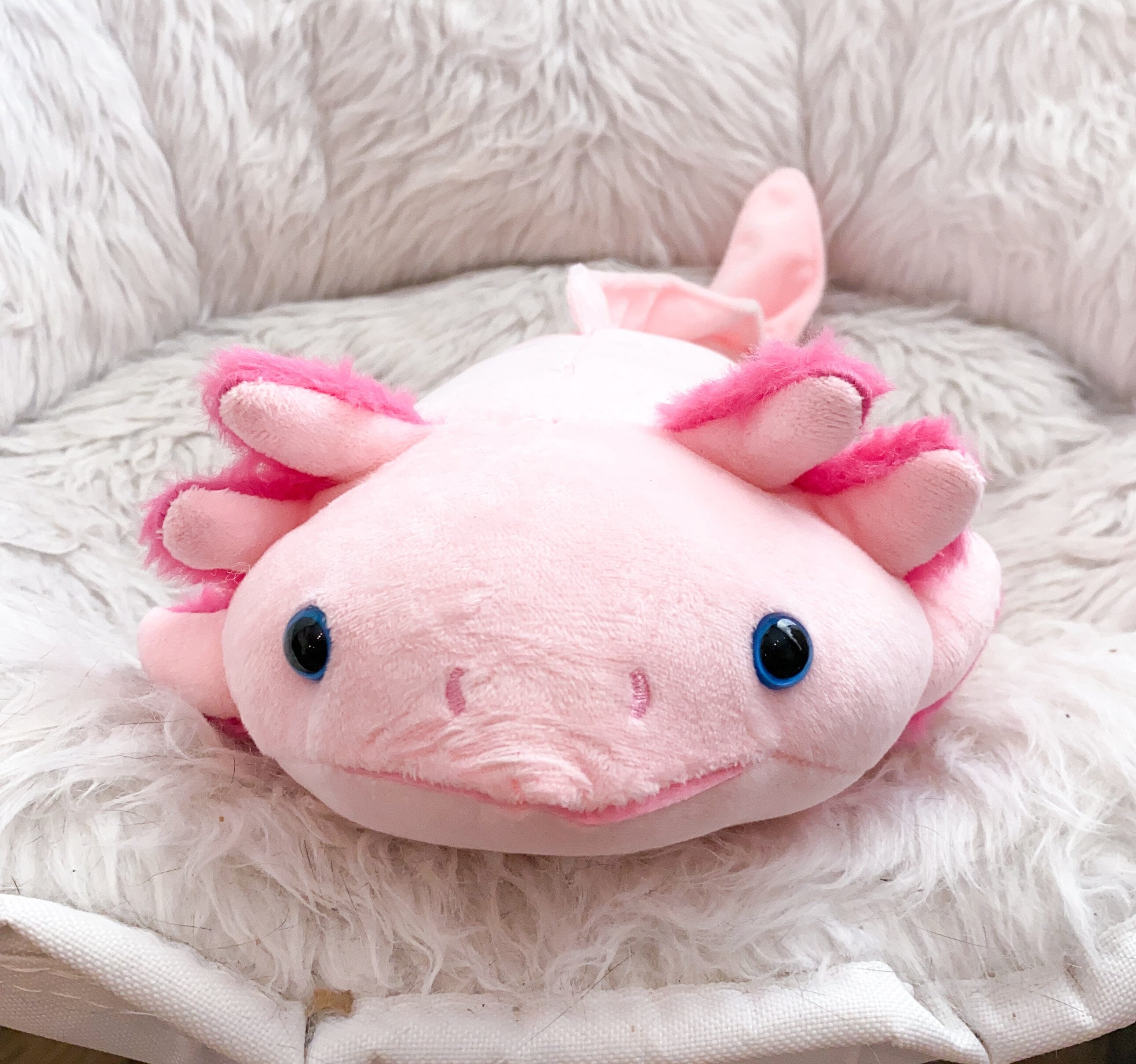 Axolotl Plush The Autistic Innovator 