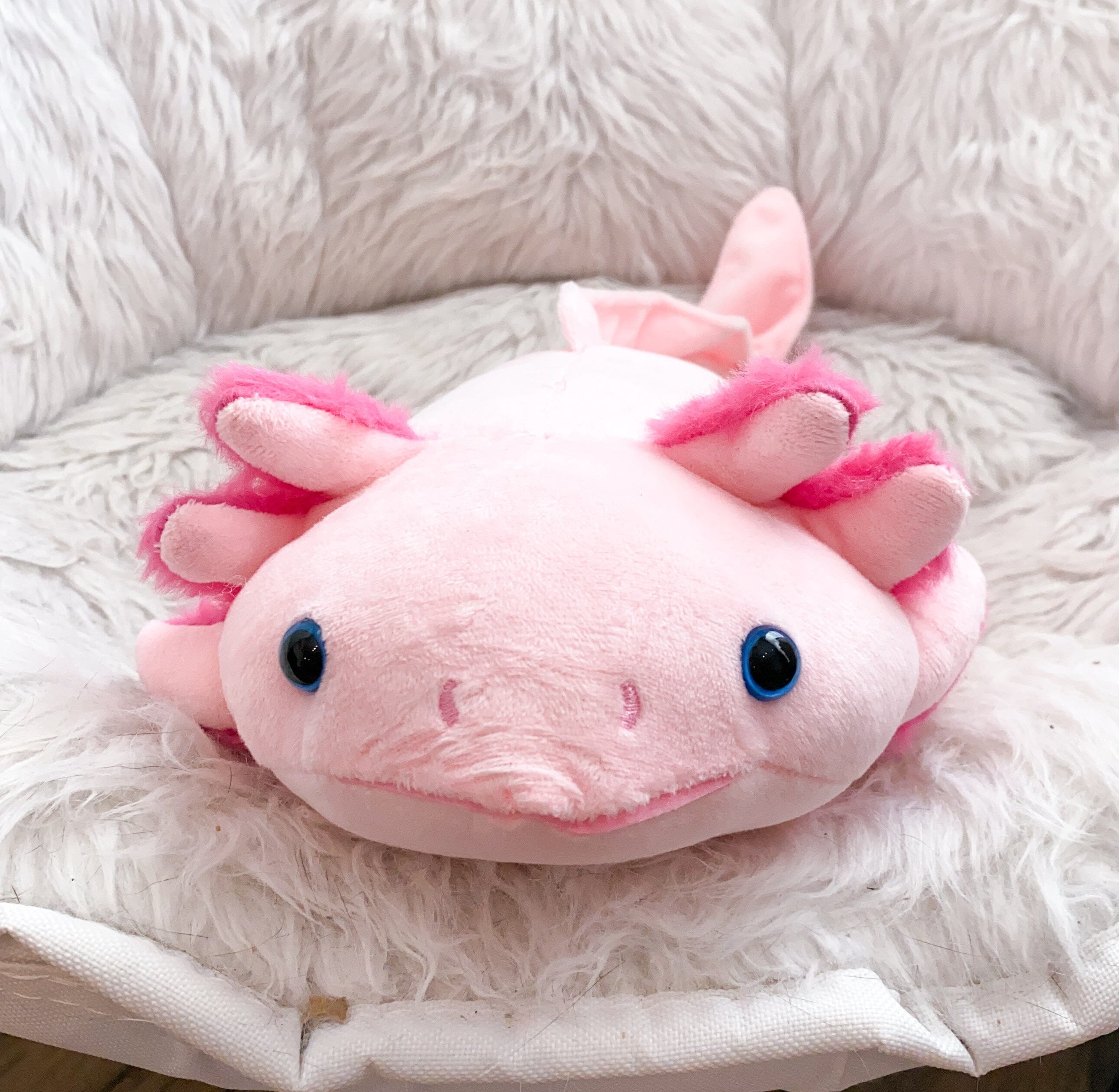 Axolotl Plush The Autistic Innovator 