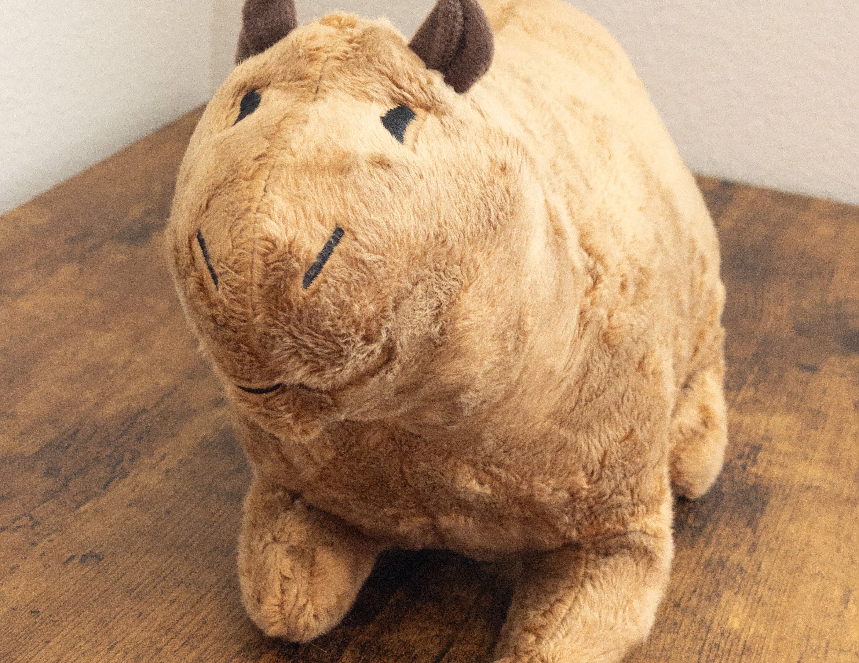 Capybara Plush The Autistic Innovator 