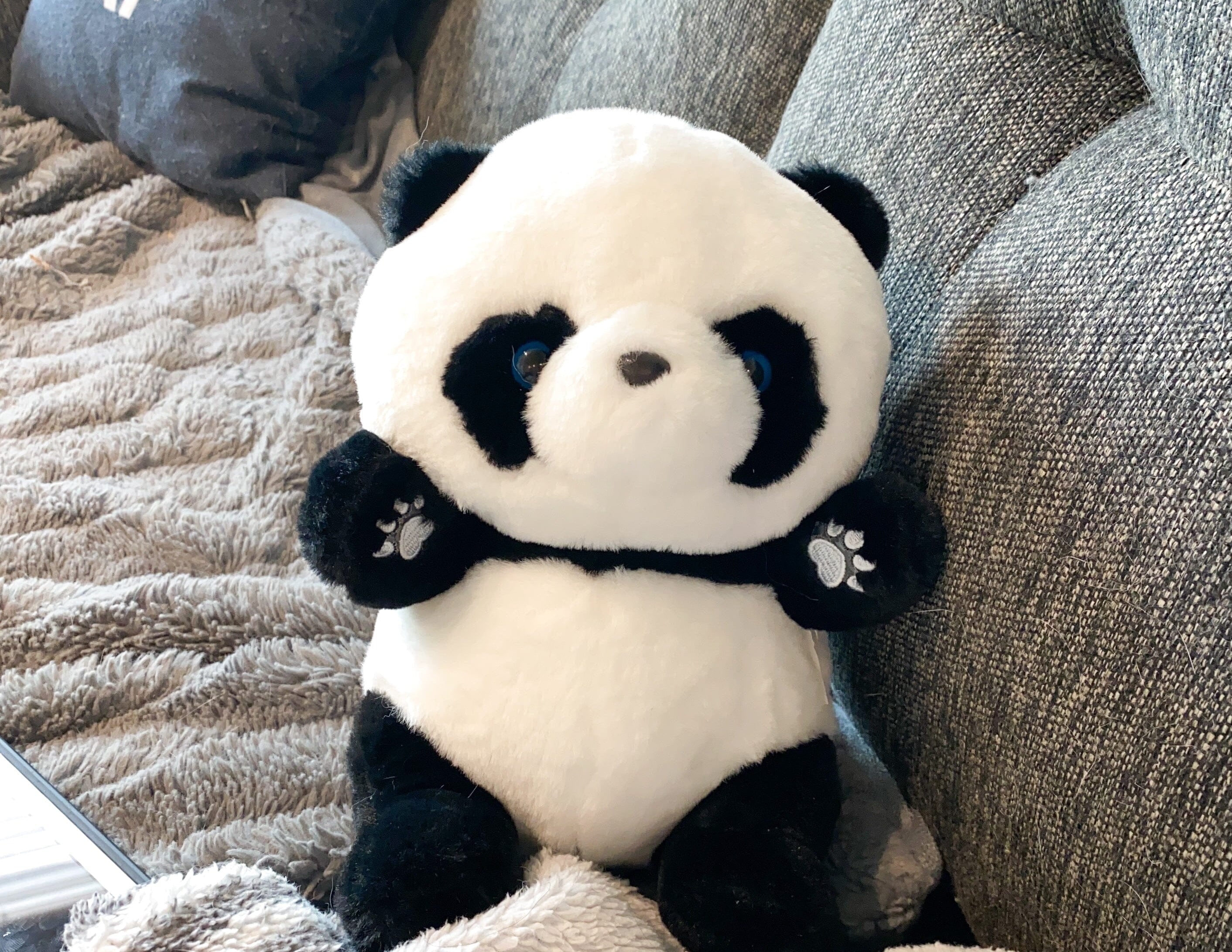 Cuddly Panda Plush The Autistic Innovator 