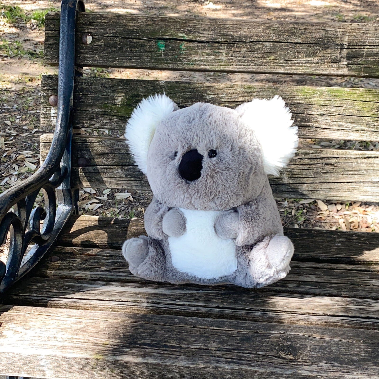 Baby Koala Plush - The Autistic Innovator