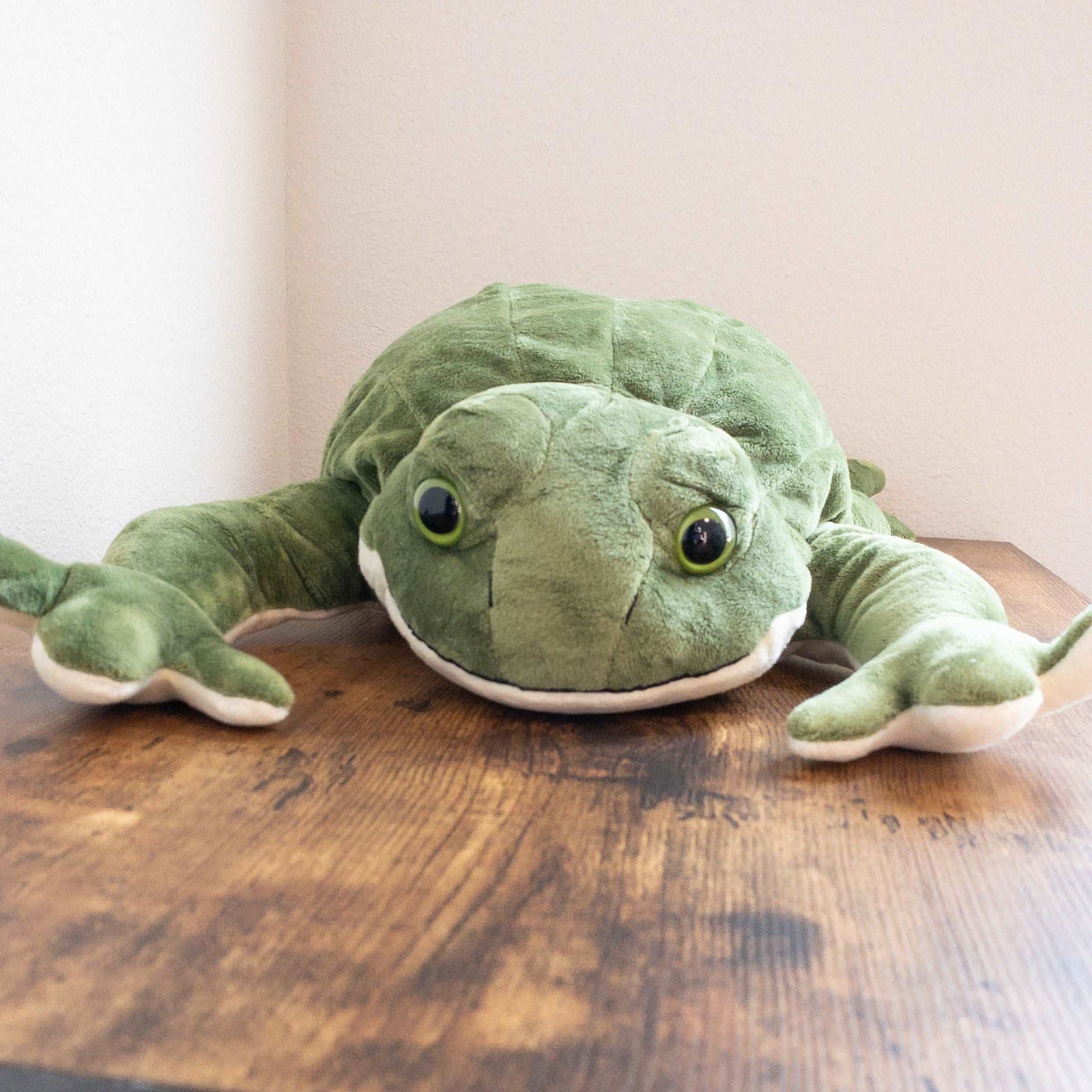 Frog Plush - The Autistic Innovator