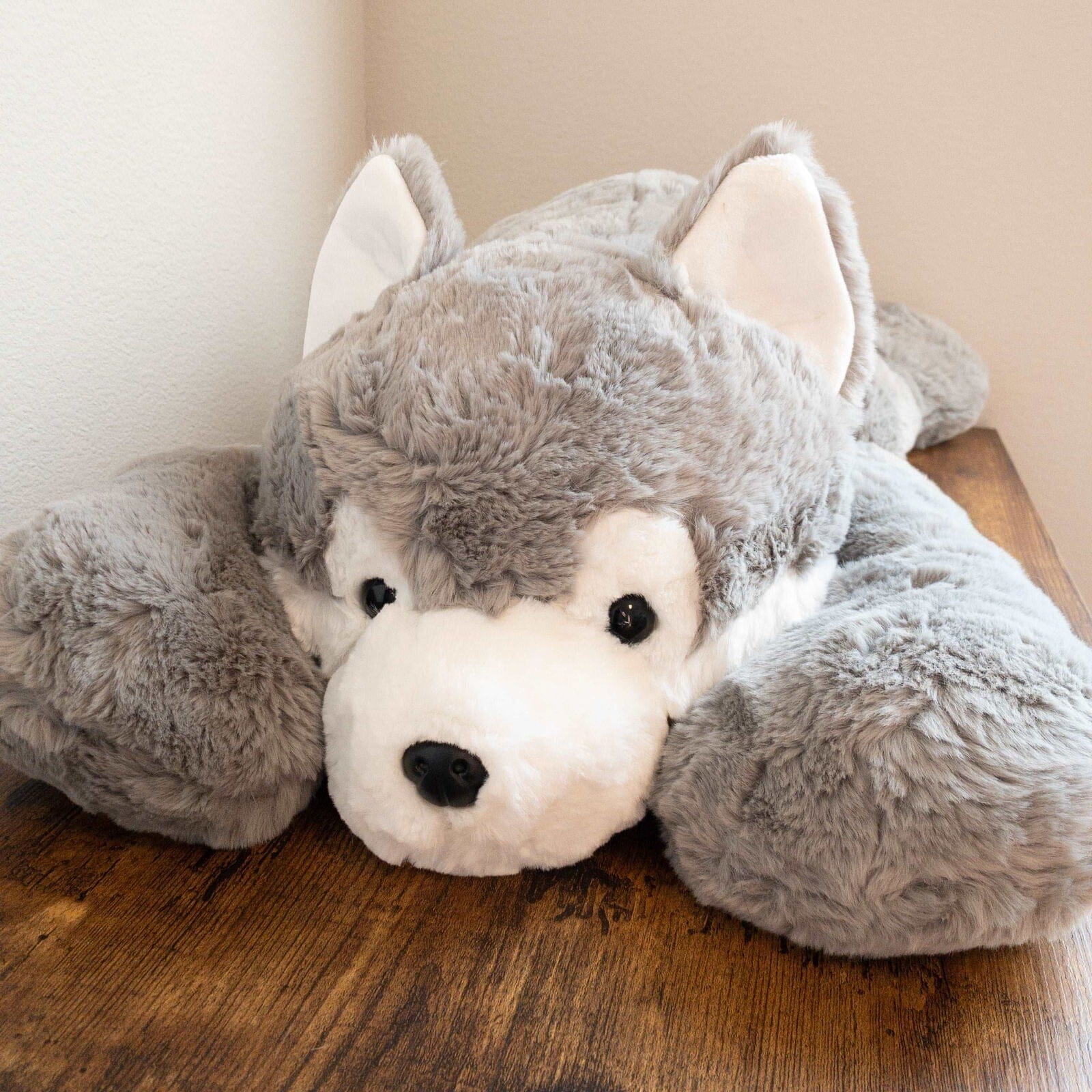 Husky Plush