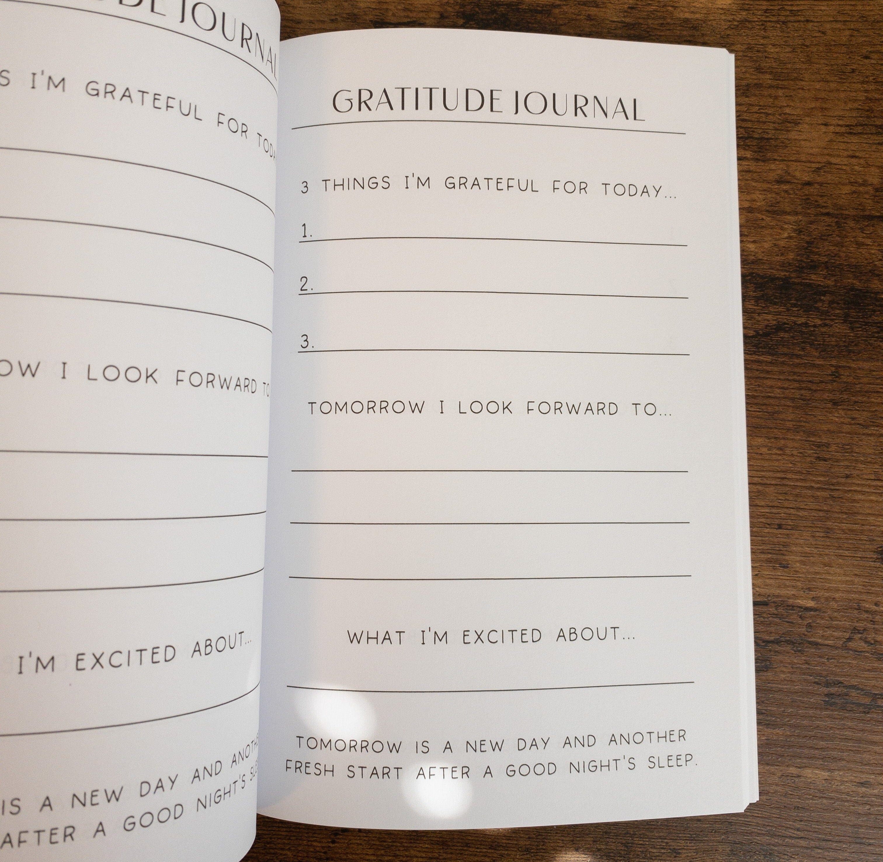 3 Good Things Gratitude Journal (Paperback) The Autistic Innovator 