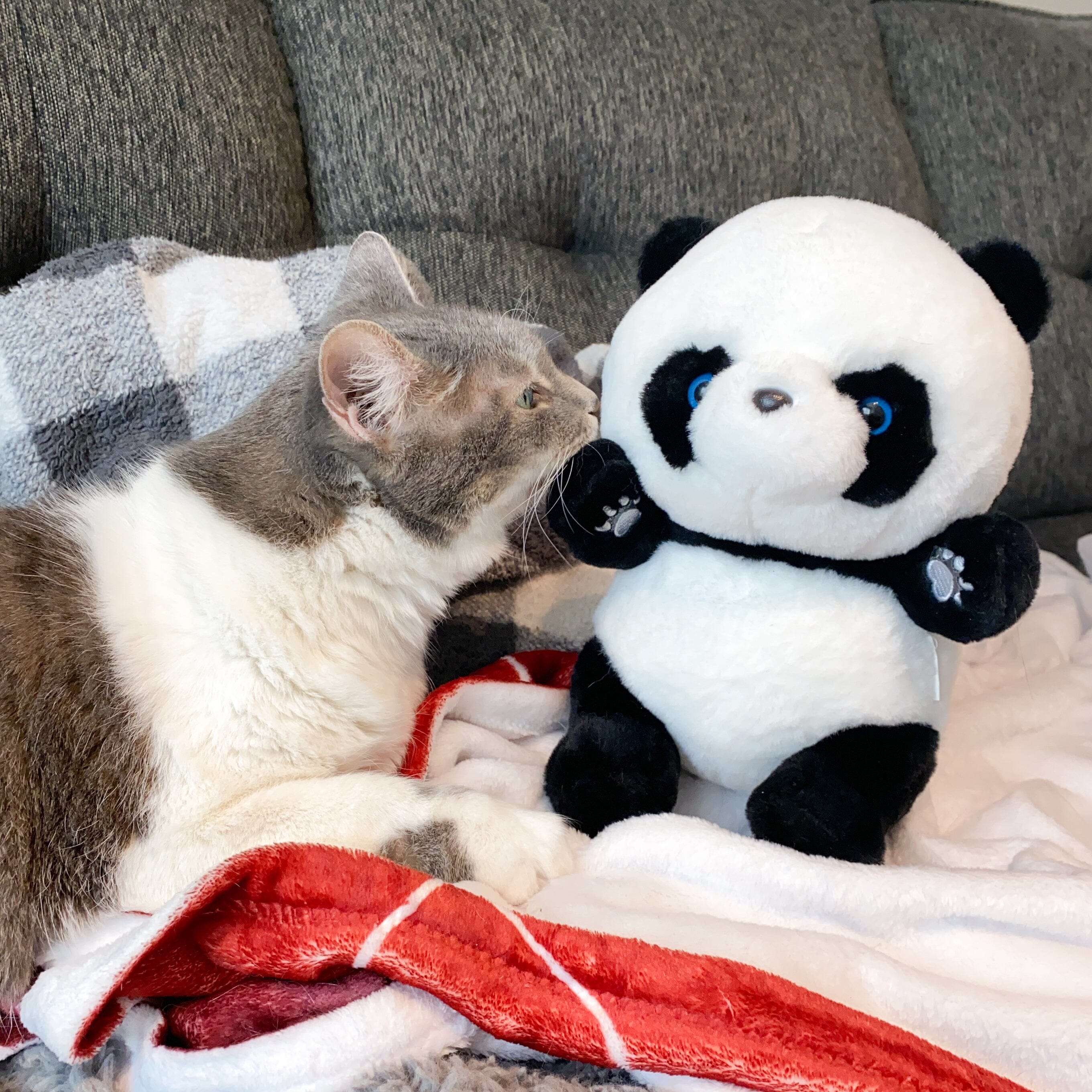 Cuddly Panda Plush The Autistic Innovator 
