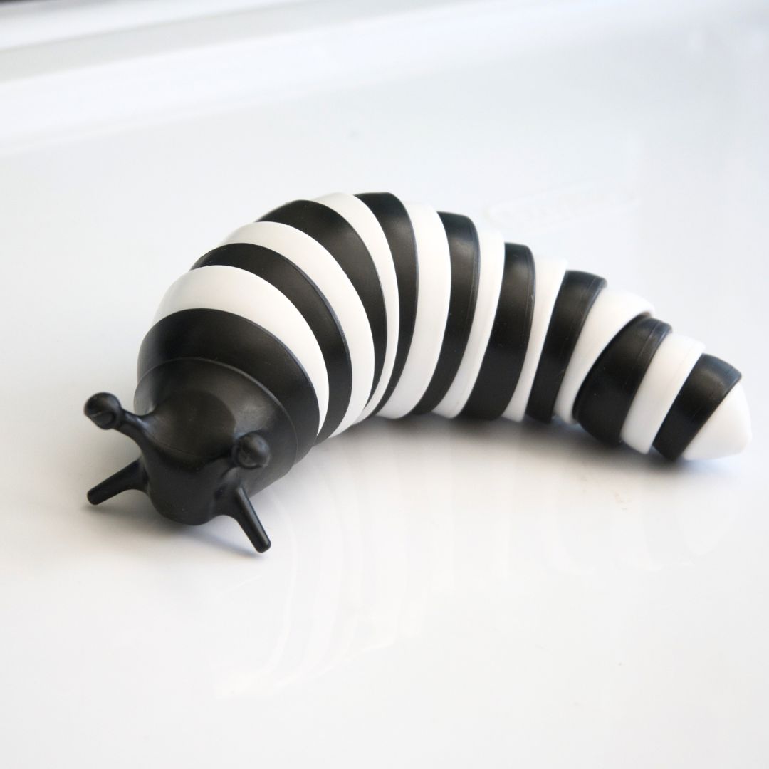 Slug Fidget Toy Black & White 