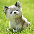 Siberian Husky Dog Plush - The Autistic Innovator